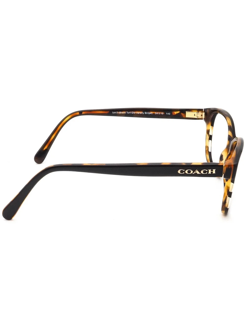 Coach HC 6103 5443 Eyewear